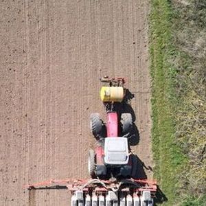 Photo Insecticide: comment l'agrochimie a tué les insectes