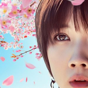 Photo Love like the falling petals
