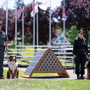 Photo Grant Gustin