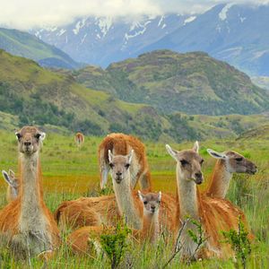 Photo Parcs nationaux : Ces merveilles du monde