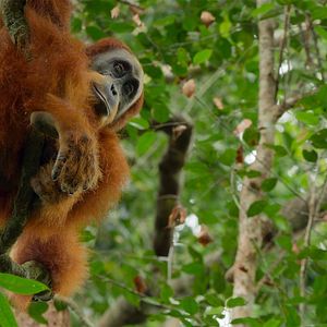 Photo Parcs nationaux : Ces merveilles du monde