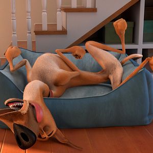 Photo Marmaduke