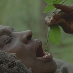 Photo Elsa Wolliaston