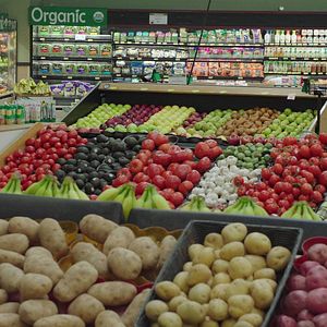 Photo Joe Pera Talks with You