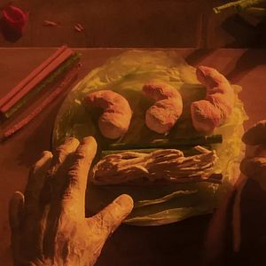Photo Spring Roll Dream