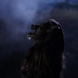 Photo Les chasseurs de la nuit