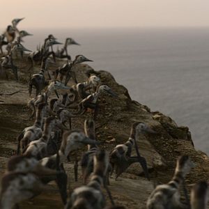 Photo Planète préhistorique