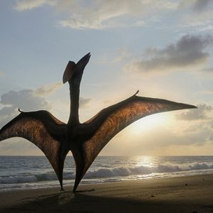 Photo Planète préhistorique