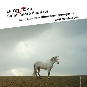 Photo Le Grec au Saint-André des Arts #13