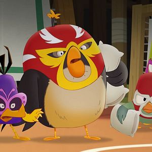Photo Angry Birds : Un été déjanté