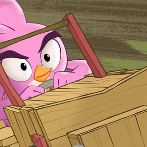 Photo Angry Birds : Un été déjanté