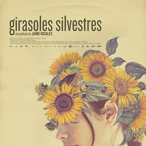 Photo Les Tournesols sauvages