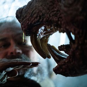 Photo Le Cabinet de curiosités de Guillermo del Toro
