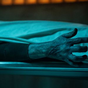 Photo Le Cabinet de curiosités de Guillermo del Toro