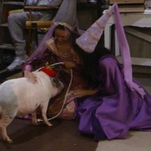 Photo Sister, Sister