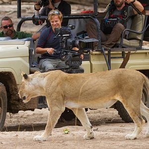 Photo Les aventures extraordinaires de Bertie Gregory