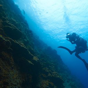 Photo Les aventures extraordinaires de Bertie Gregory