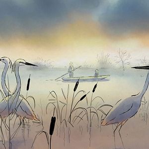 Photo A vol d'oiseaux