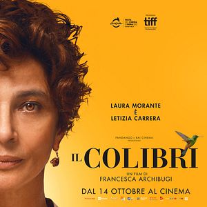Photo Le Colibri