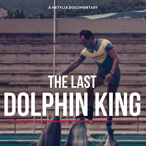 Photo Qu'est-il arrivé au roi des dauphins ?