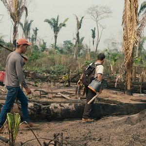 Photo La forêt amazonienne : notre terre