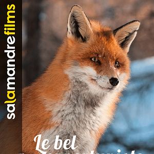 Photo Le Bel Opportuniste