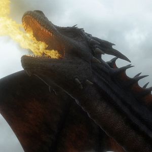 Photo Dragon Knight