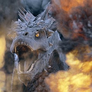 Photo Dragon Knight