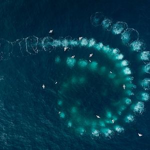 Photo Les Gardiennes de la planète