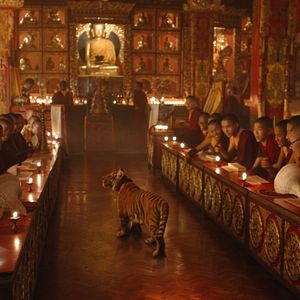 Photo Le Nid du Tigre