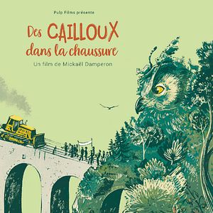 Photo Des cailloux dans la chaussure