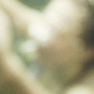 Photo Jouvencelles