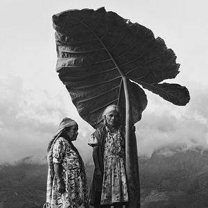Photo Gods of Mexico