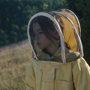 Photo 20 000 espèces d'abeilles