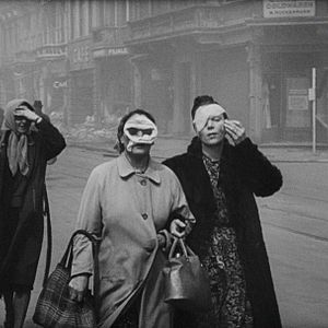 Photo L'Histoire naturelle de la destruction