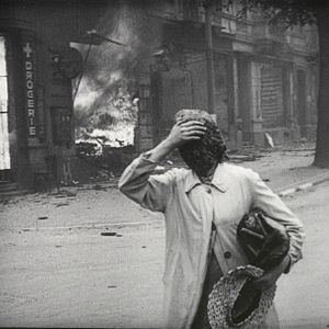 Photo L'Histoire naturelle de la destruction