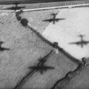 Photo L'Histoire naturelle de la destruction