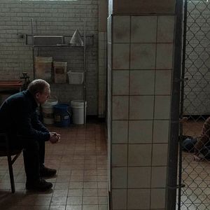 Photo The Last Of Us