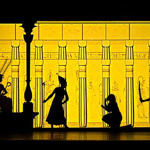 Photo Princes et princesses : le spectacle au cinéma