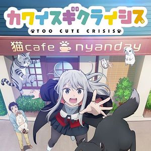 Photo Too Cute Crisis