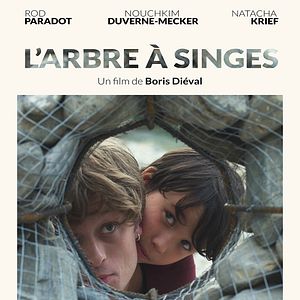 Photo L'Arbre à singes