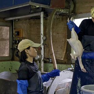 Photo Miyama, Kyoto Prefecture