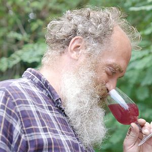 Photo La Révole nature, de la vigne au verre