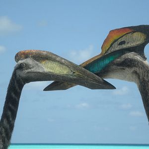 Photo Planète préhistorique