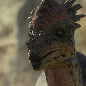 Photo Planète préhistorique