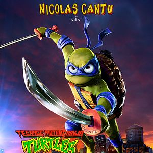 Photo Ninja Turtles: Teenage Years