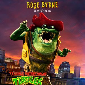 Photo Ninja Turtles: Teenage Years