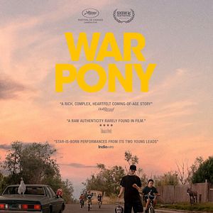 Photo War Pony