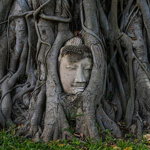 Photo Altaïr conférences - Thaïlande : De Bouddha à la mondialisation