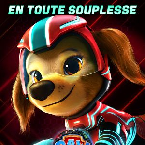 Photo La Pat' Patrouille : La Super Patrouille Le Film